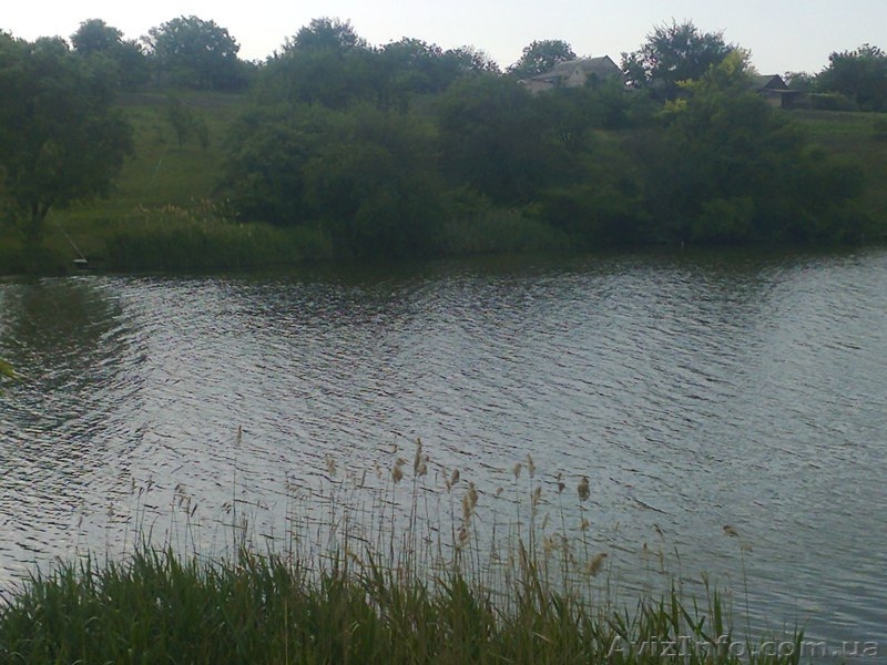 Продам дом в с. Башмачка солонянского района. Большой огород, рядом ставок. - <ro>Изображение</ro><ru>Изображение</ru> #6, <ru>Объявление</ru> #898883