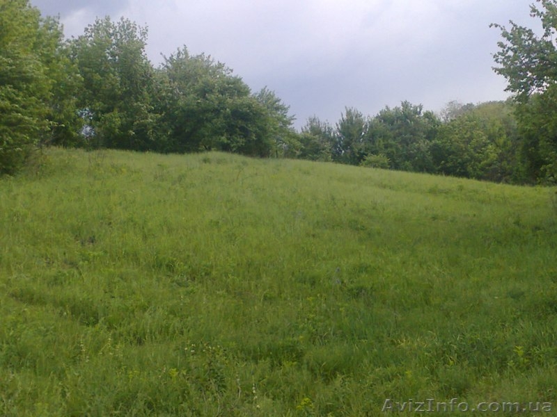 Продам дом в с. Башмачка солонянского района. Большой огород, рядом ставок. - <ro>Изображение</ro><ru>Изображение</ru> #5, <ru>Объявление</ru> #898883