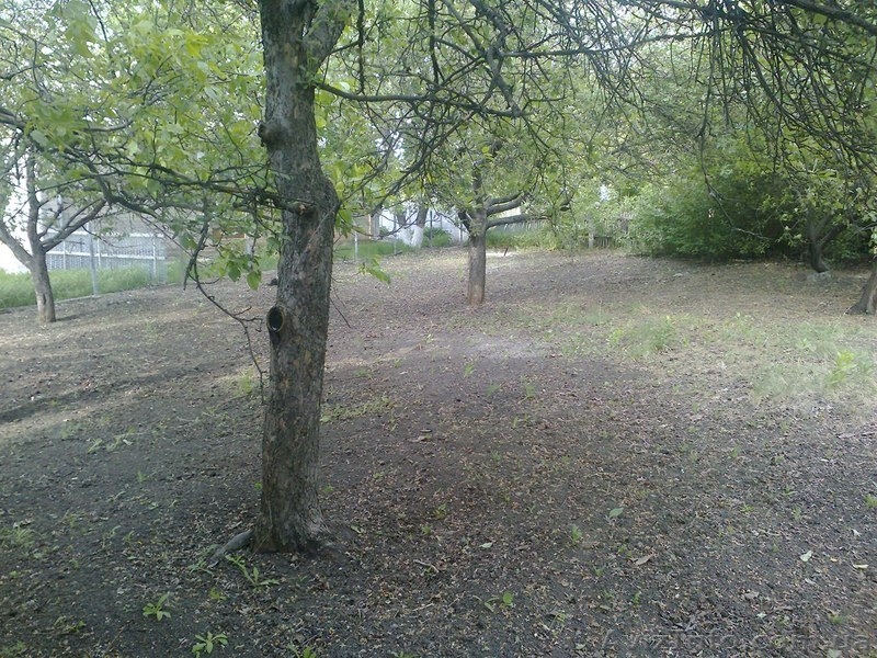 Продам дом в с. Башмачка солонянского района. Большой огород, рядом ставок. - <ro>Изображение</ro><ru>Изображение</ru> #3, <ru>Объявление</ru> #898883