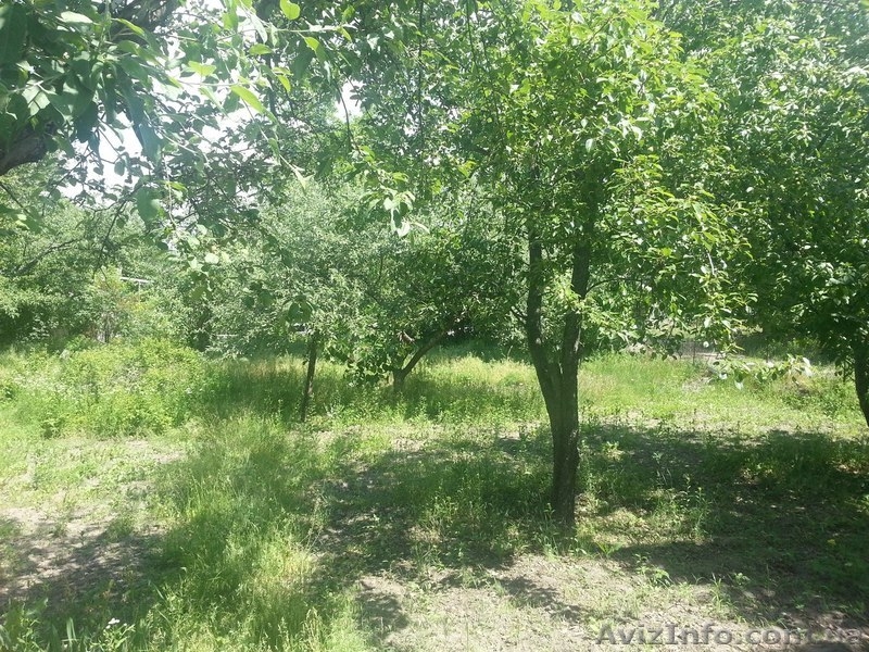 Продам дачу д/к "Сталь" - <ro>Изображение</ro><ru>Изображение</ru> #5, <ru>Объявление</ru> #905175