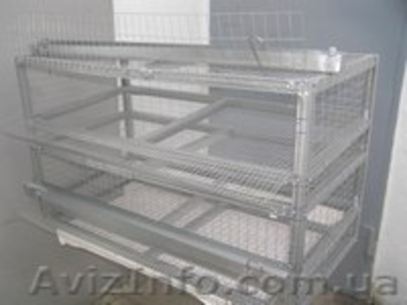 Изготовление клеток.  Продажа недвижимости - <ro>Изображение</ro><ru>Изображение</ru> #4, <ru>Объявление</ru> #895258