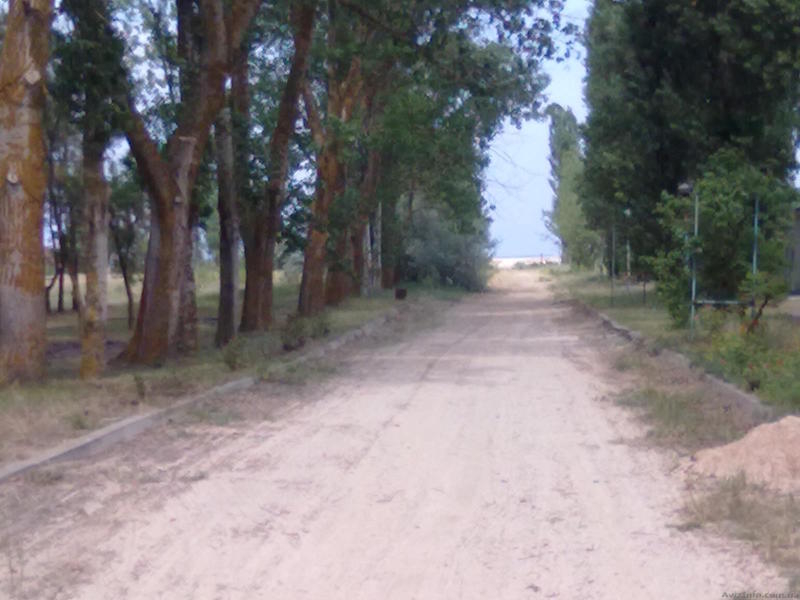 Отдых на Азовском море – Арабатская стрелка - <ro>Изображение</ro><ru>Изображение</ru> #5, <ru>Объявление</ru> #914043