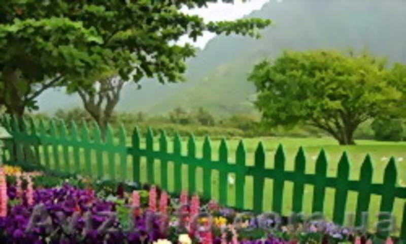 Горшки для цветов - <ro>Изображение</ro><ru>Изображение</ru> #5, <ru>Объявление</ru> #915107