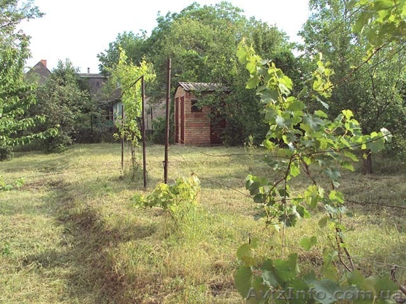 Продается дача в районе аэропорта - <ro>Изображение</ro><ru>Изображение</ru> #5, <ru>Объявление</ru> #658880