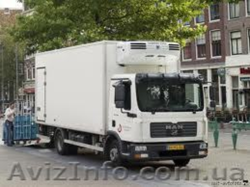 Грузчики+Авто.           - <ro>Изображение</ro><ru>Изображение</ru> #3, <ru>Объявление</ru> #911204