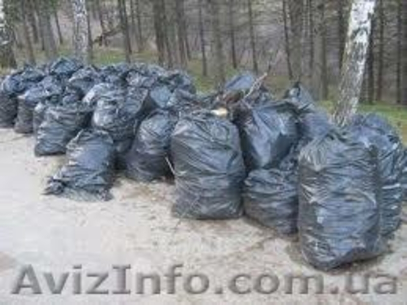 Грузчики+Авто.           - <ro>Изображение</ro><ru>Изображение</ru> #4, <ru>Объявление</ru> #911204