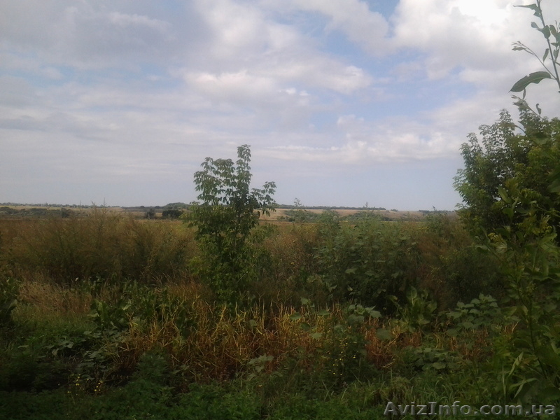 Дом за городом.Срочная продажа - <ro>Изображение</ro><ru>Изображение</ru> #6, <ru>Объявление</ru> #938841