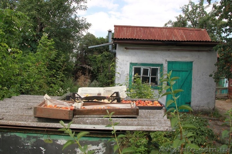 Дом на Игрени возле АТБ. 35000 у.е. - <ro>Изображение</ro><ru>Изображение</ru> #7, <ru>Объявление</ru> #949725