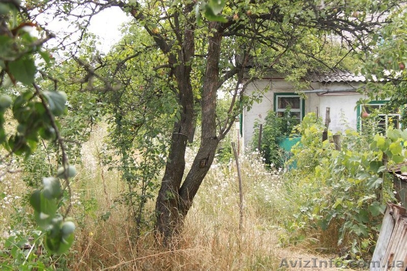 Дом на Игрени возле АТБ. 35000 у.е. - <ro>Изображение</ro><ru>Изображение</ru> #10, <ru>Объявление</ru> #949725