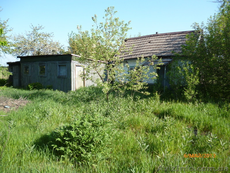 СРОЧНО ПРОДАМ ДОМ- ДАЧА с.ОРЛОВЩИНА - <ro>Изображение</ro><ru>Изображение</ru> #3, <ru>Объявление</ru> #937625