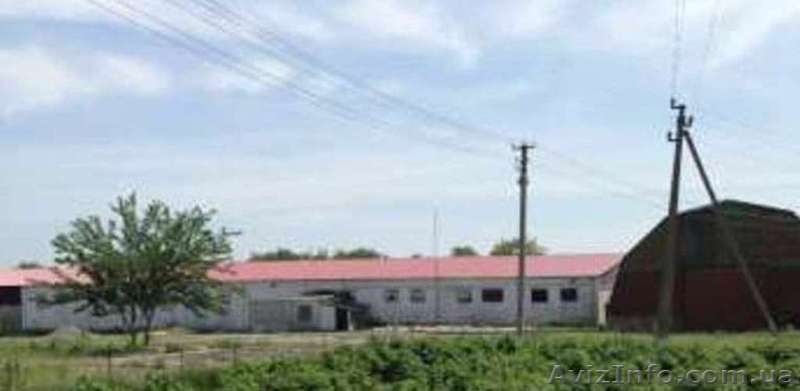 Склад в Новониколаевке - <ro>Изображение</ro><ru>Изображение</ru> #5, <ru>Объявление</ru> #506547