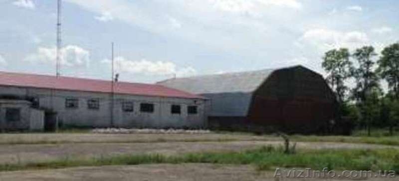 Склад в Новониколаевке - <ro>Изображение</ro><ru>Изображение</ru> #4, <ru>Объявление</ru> #506547