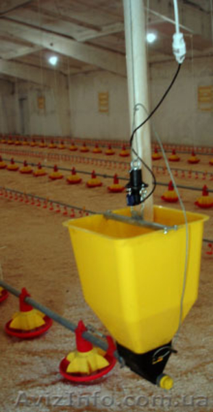 ЧП "ВТФ Гран-Агро" (линии кормления и поения для птиц) - <ro>Изображение</ro><ru>Изображение</ru> #5, <ru>Объявление</ru> #973325