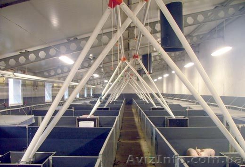 Линии кормления для свиней  - <ro>Изображение</ro><ru>Изображение</ru> #3, <ru>Объявление</ru> #976535