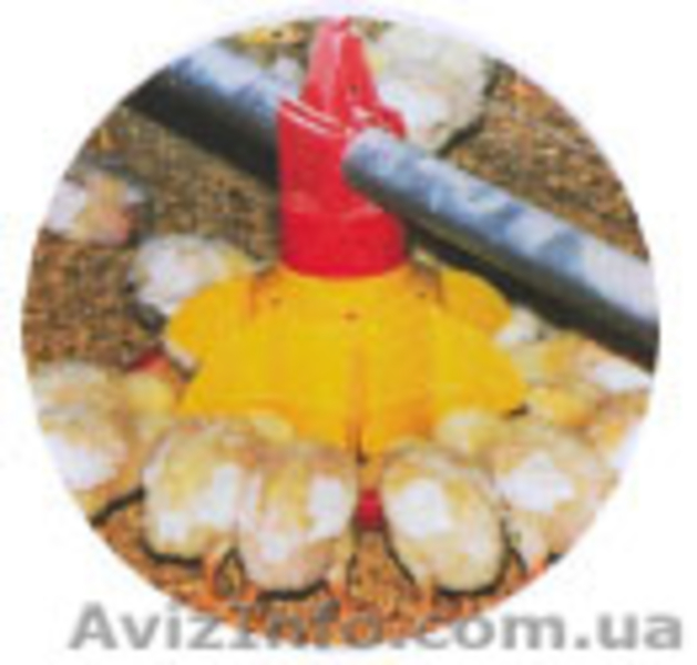 Кормушки для селсько-хозяйственных птиц от ЧП "ВФТ Гран-Агро" - <ro>Изображение</ro><ru>Изображение</ru> #5, <ru>Объявление</ru> #980517