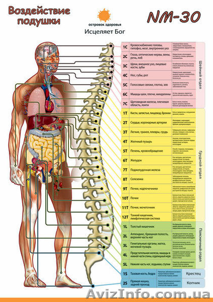 Турманевая подушка NM-30/оригинал Nuga Best/ - <ro>Изображение</ro><ru>Изображение</ru> #3, <ru>Объявление</ru> #994252