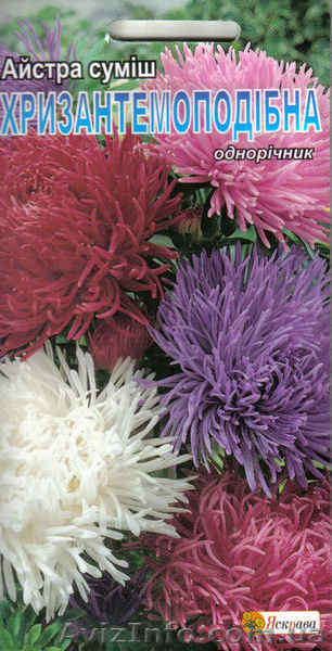 семена астр в ассортименте - <ro>Изображение</ro><ru>Изображение</ru> #3, <ru>Объявление</ru> #988672