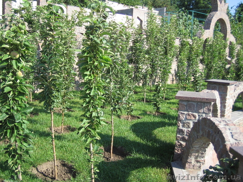 Любите захватывающий вид ? Бесплатный для вас вид стоимостью в 1 200 000$  - <ro>Изображение</ro><ru>Изображение</ru> #9, <ru>Объявление</ru> #987768