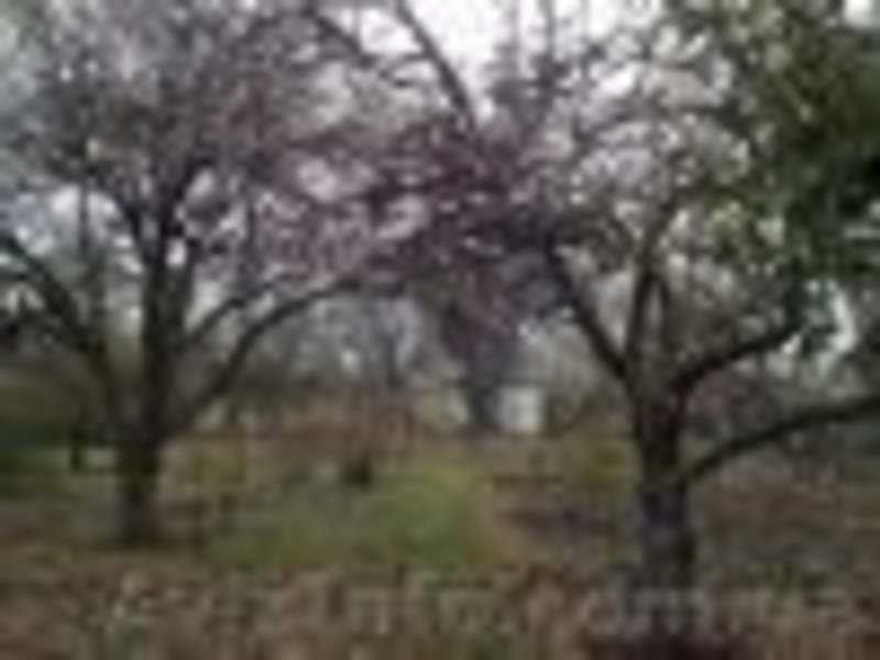 Продам дом за чертой города Днепропетровска - <ro>Изображение</ro><ru>Изображение</ru> #6, <ru>Объявление</ru> #1004128