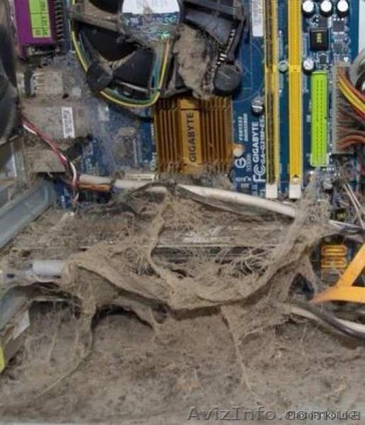 Скорая компьютерная помощь!  - <ro>Изображение</ro><ru>Изображение</ru> #5, <ru>Объявление</ru> #1013460