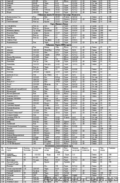 Продам саженцы винограда более 100 сортов - <ro>Изображение</ro><ru>Изображение</ru> #7, <ru>Объявление</ru> #509514