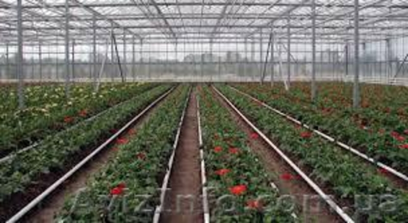 Автополив Rain-Bird - <ro>Изображение</ro><ru>Изображение</ru> #3, <ru>Объявление</ru> #1023889