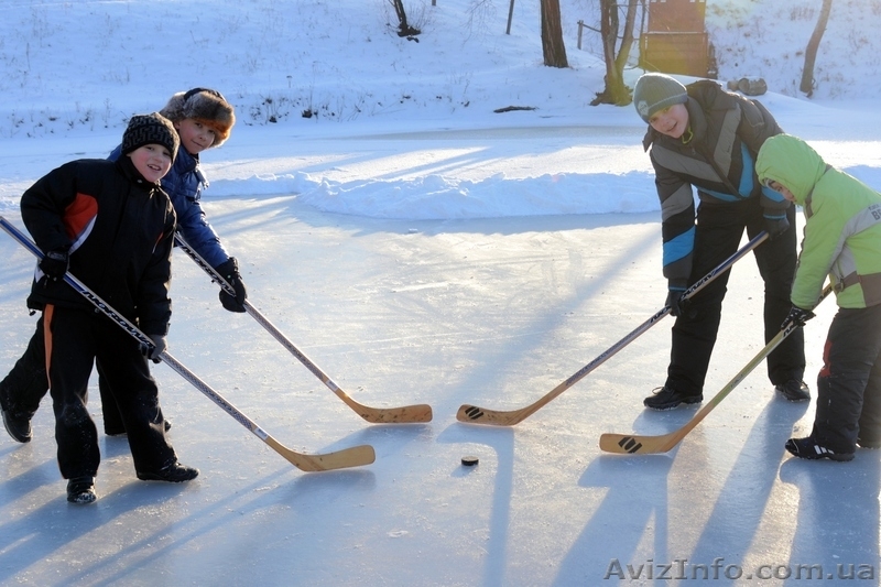Аренда снегоходов - <ro>Изображение</ro><ru>Изображение</ru> #5, <ru>Объявление</ru> #1014961