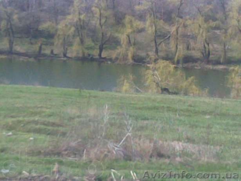 Продам дачу возле водоема, 5км от Днепропетровска - <ro>Изображение</ro><ru>Изображение</ru> #3, <ru>Объявление</ru> #1061262