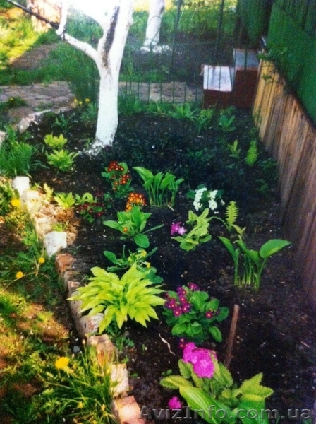 Продам дачу с прекрасным участком в сказочном месте-заповеднике. В пос - <ro>Изображение</ro><ru>Изображение</ru> #3, <ru>Объявление</ru> #1035654