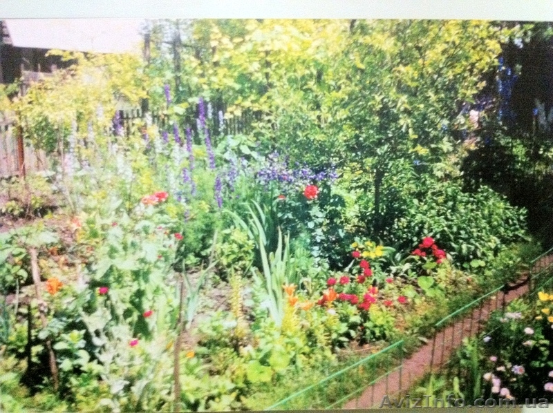 Продам дачу с прекрасным участком в сказочном месте-заповеднике. В пос - <ro>Изображение</ro><ru>Изображение</ru> #4, <ru>Объявление</ru> #1035654