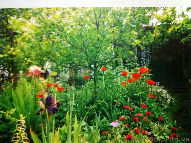 Продам дачу с прекрасным участком в сказочном месте-заповеднике. В пос - <ro>Изображение</ro><ru>Изображение</ru> #6, <ru>Объявление</ru> #1035654