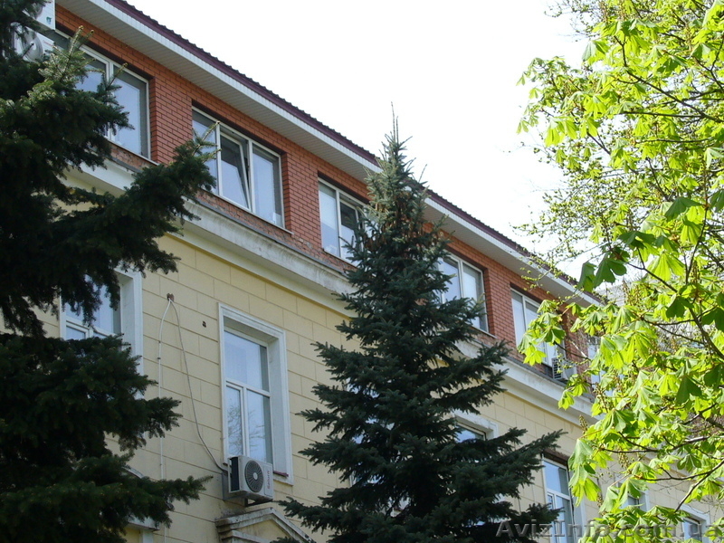 Продажа нежилого помещения ул.Благоева,31 - <ro>Изображение</ro><ru>Изображение</ru> #3, <ru>Объявление</ru> #1063216