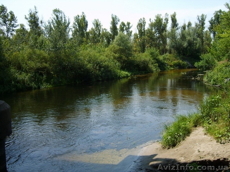 Отдых в деревне - <ro>Изображение</ro><ru>Изображение</ru> #3, <ru>Объявление</ru> #1052362