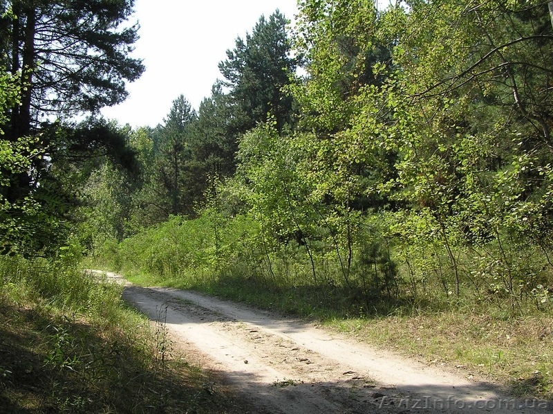 Отдых в деревне - <ro>Изображение</ro><ru>Изображение</ru> #6, <ru>Объявление</ru> #1052362