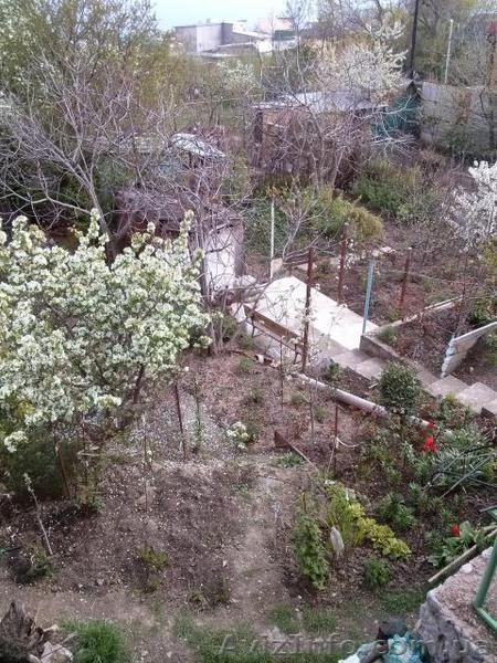 Отдых в Алупке. - <ro>Изображение</ro><ru>Изображение</ru> #9, <ru>Объявление</ru> #906897