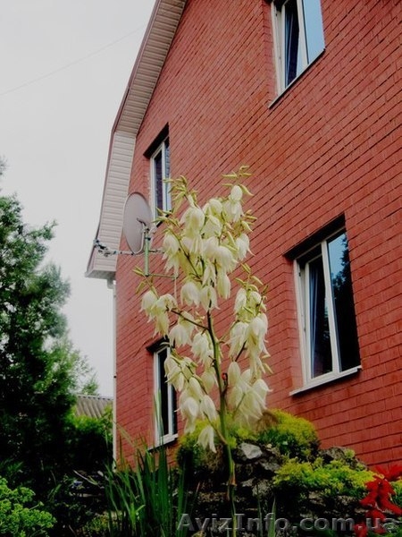 Сдам комнаты посуточно в уютном доме. - <ro>Изображение</ro><ru>Изображение</ru> #8, <ru>Объявление</ru> #1071818