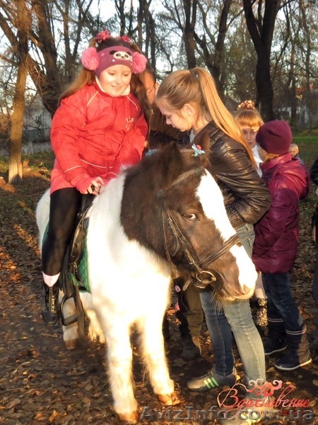 Весёлые детские праздники, шоу, квесты от студии праздника Вдохновение - <ro>Изображение</ro><ru>Изображение</ru> #5, <ru>Объявление</ru> #1074093