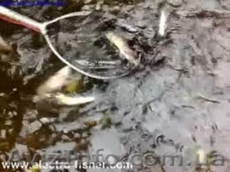 Продаем Samus 725 mp - <ro>Изображение</ro><ru>Изображение</ru> #3, <ru>Объявление</ru> #1080561