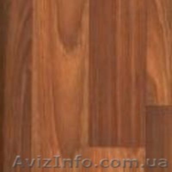 Линолеум Olympic Синтерос Tarkett - <ro>Изображение</ro><ru>Изображение</ru> #6, <ru>Объявление</ru> #1076667