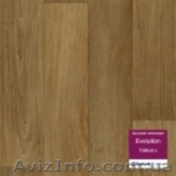 Линолеум Evolution Tarkett - <ro>Изображение</ro><ru>Изображение</ru> #3, <ru>Объявление</ru> #1076703