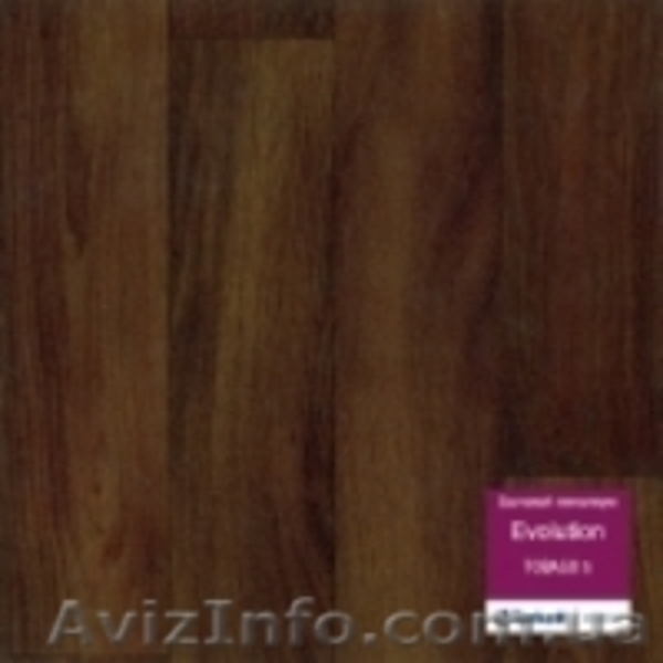 Линолеум Evolution Tarkett - <ro>Изображение</ro><ru>Изображение</ru> #4, <ru>Объявление</ru> #1076703