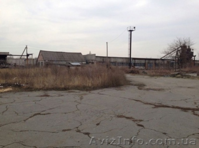 Продам деревообрабатывающее производство - <ro>Изображение</ro><ru>Изображение</ru> #3, <ru>Объявление</ru> #1086631