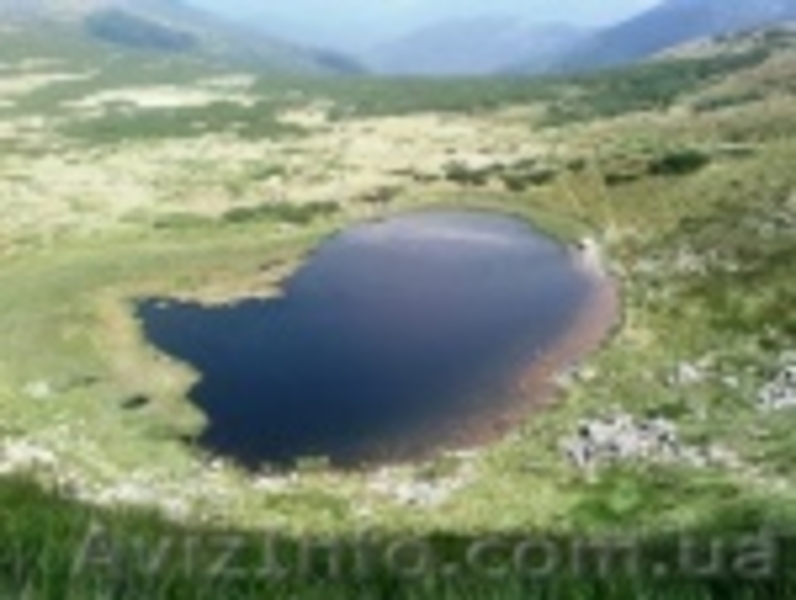 Отдых в Карпатах на любой  вкус - <ro>Изображение</ro><ru>Изображение</ru> #3, <ru>Объявление</ru> #1104611