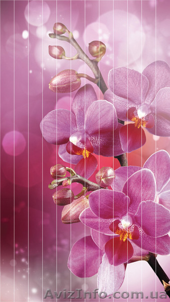 Фотожалюзи,жалюзи с фотопечатью - <ro>Изображение</ro><ru>Изображение</ru> #3, <ru>Объявление</ru> #1125040