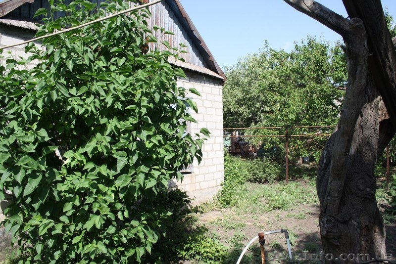 частный дом в Синельниково - <ro>Изображение</ro><ru>Изображение</ru> #4, <ru>Объявление</ru> #1113889