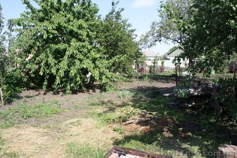 частный дом в Синельниково - <ro>Изображение</ro><ru>Изображение</ru> #6, <ru>Объявление</ru> #1113889