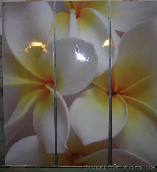 Гардеробные и шкафы-купе от производителя. Декор фасадов на своём производстве.  - <ro>Изображение</ro><ru>Изображение</ru> #3, <ru>Объявление</ru> #1132698