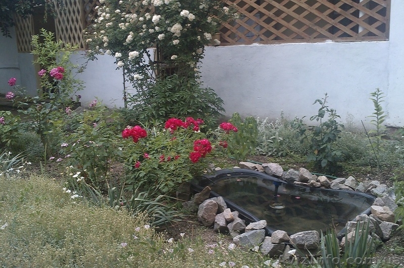 Бархатный сезон на Азовском море в с.Генгорка, в "Азовской розе" от 40 грн. - <ro>Изображение</ro><ru>Изображение</ru> #9, <ru>Объявление</ru> #1137114