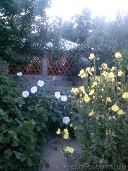 Бархатный сезон на Азовском море в с.Генгорка, в "Азовской розе" от 40 грн. - <ro>Изображение</ro><ru>Изображение</ru> #10, <ru>Объявление</ru> #1137114