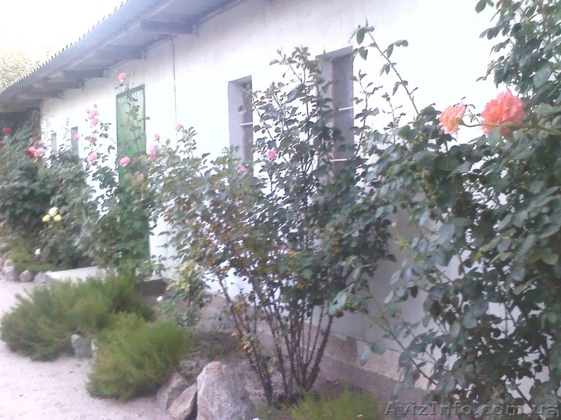 Бархатный сезон на Азовском море в с.Генгорка, в "Азовской розе" от 40 грн. - <ro>Изображение</ro><ru>Изображение</ru> #5, <ru>Объявление</ru> #1137114